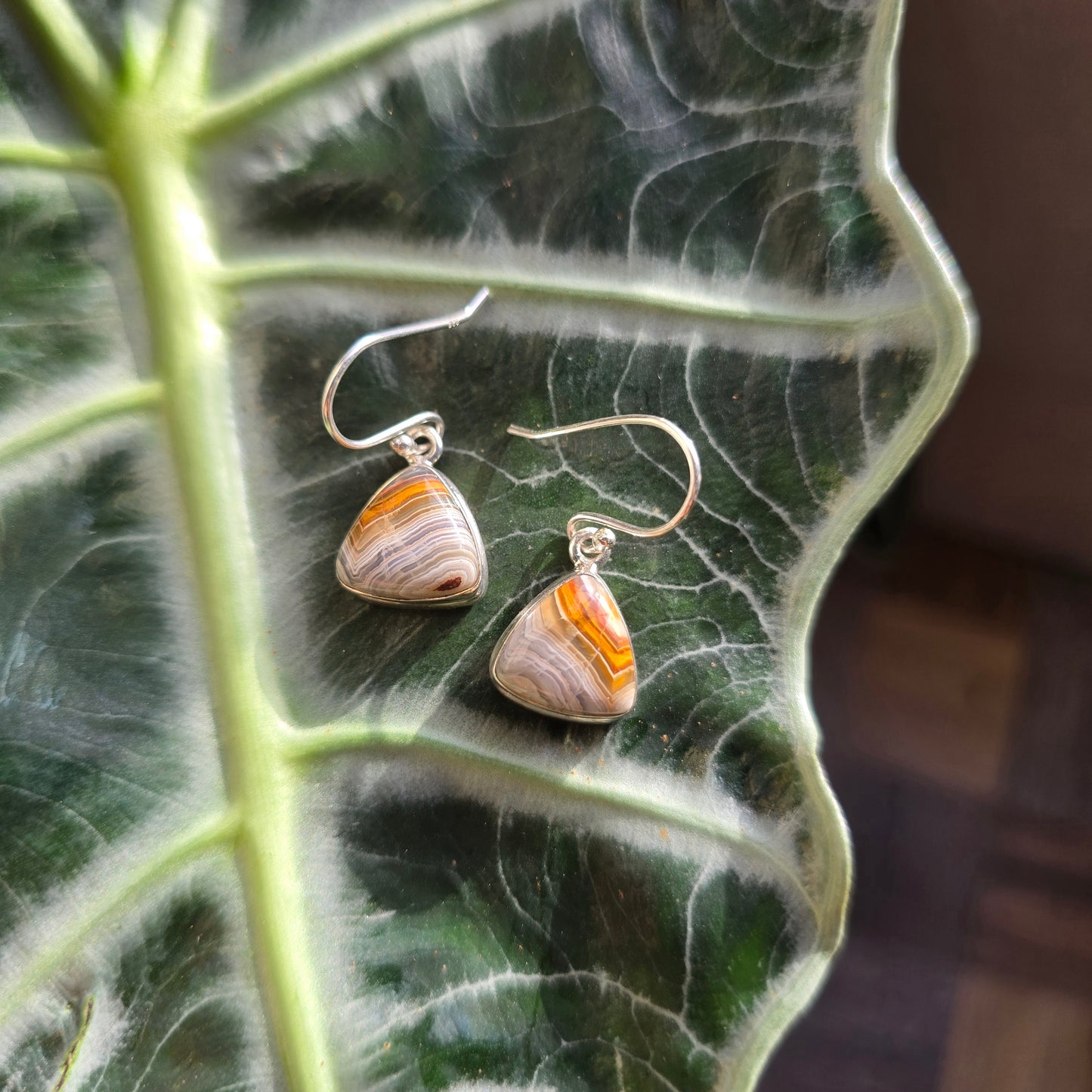 Laguna Lace Agate Earrings
